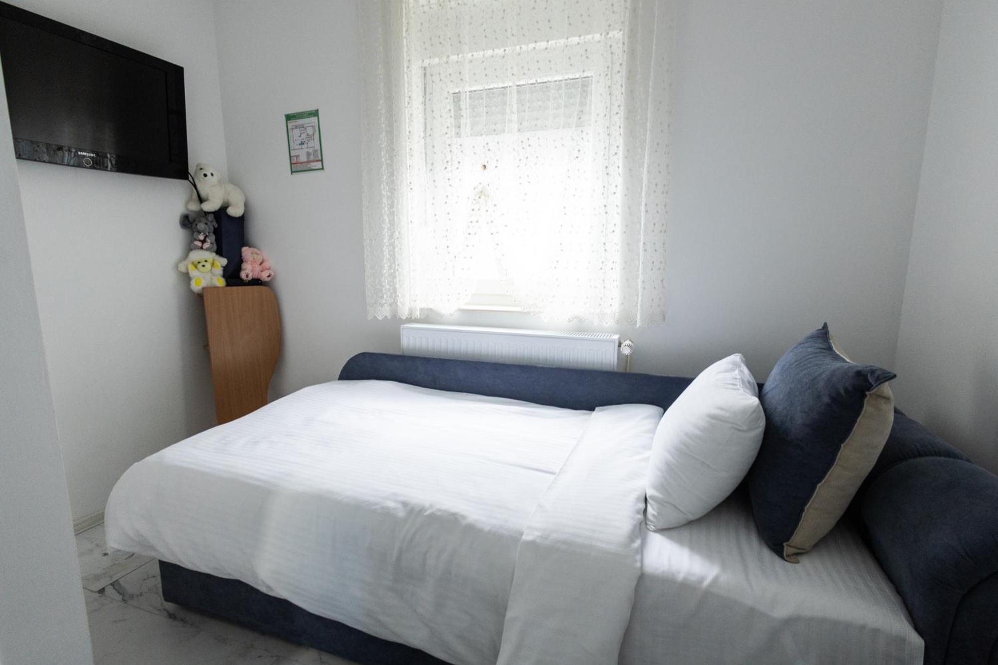 Apartmán Apartman Albijanic Sremska Kamenica Exteriér fotografie