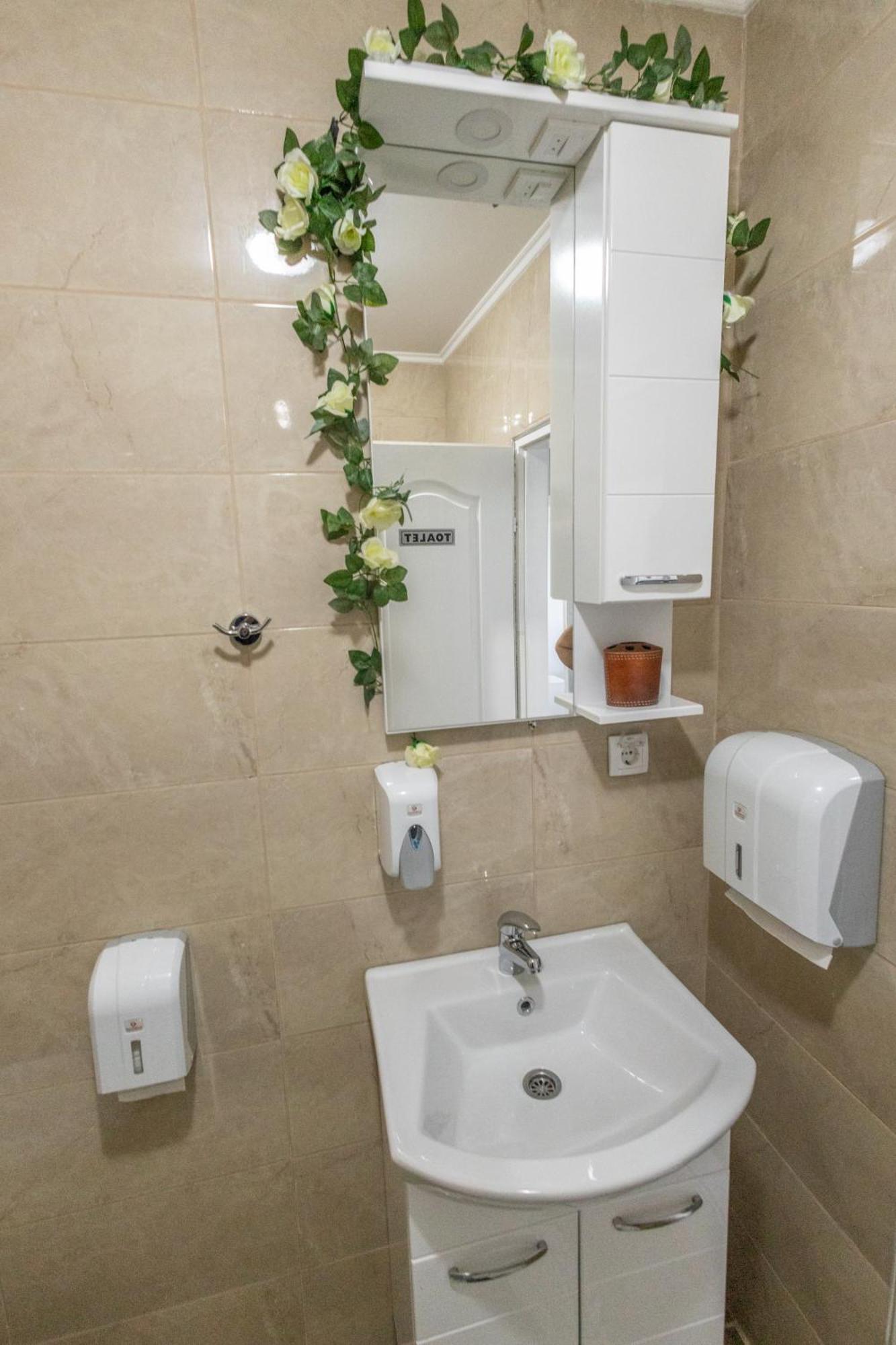 Apartmán Apartman Albijanic Sremska Kamenica Exteriér fotografie