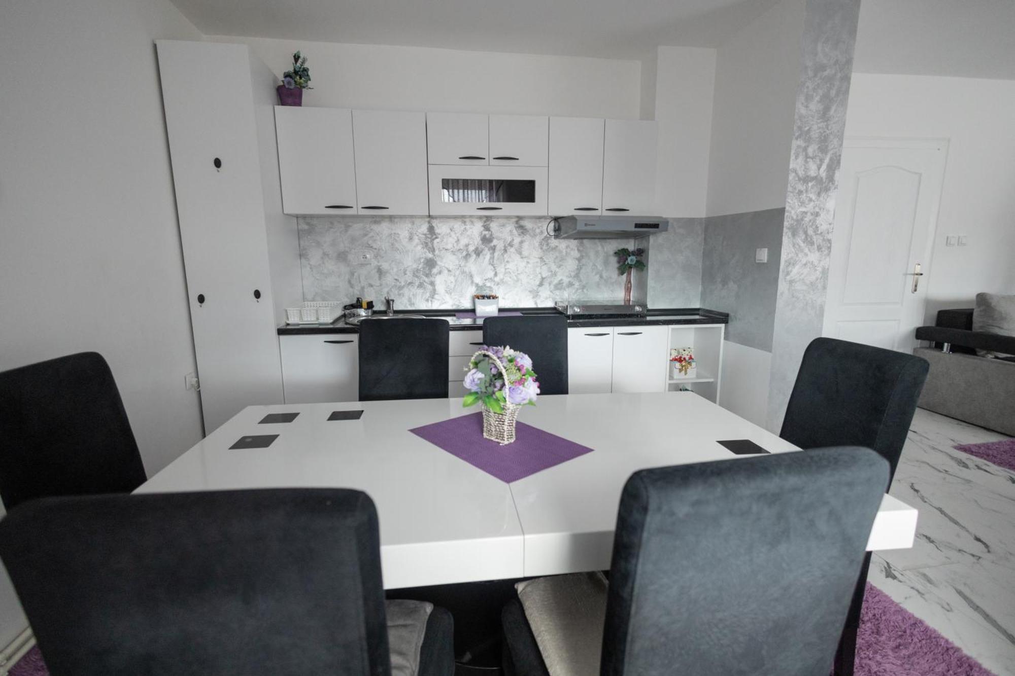 Apartmán Apartman Albijanic Sremska Kamenica Exteriér fotografie