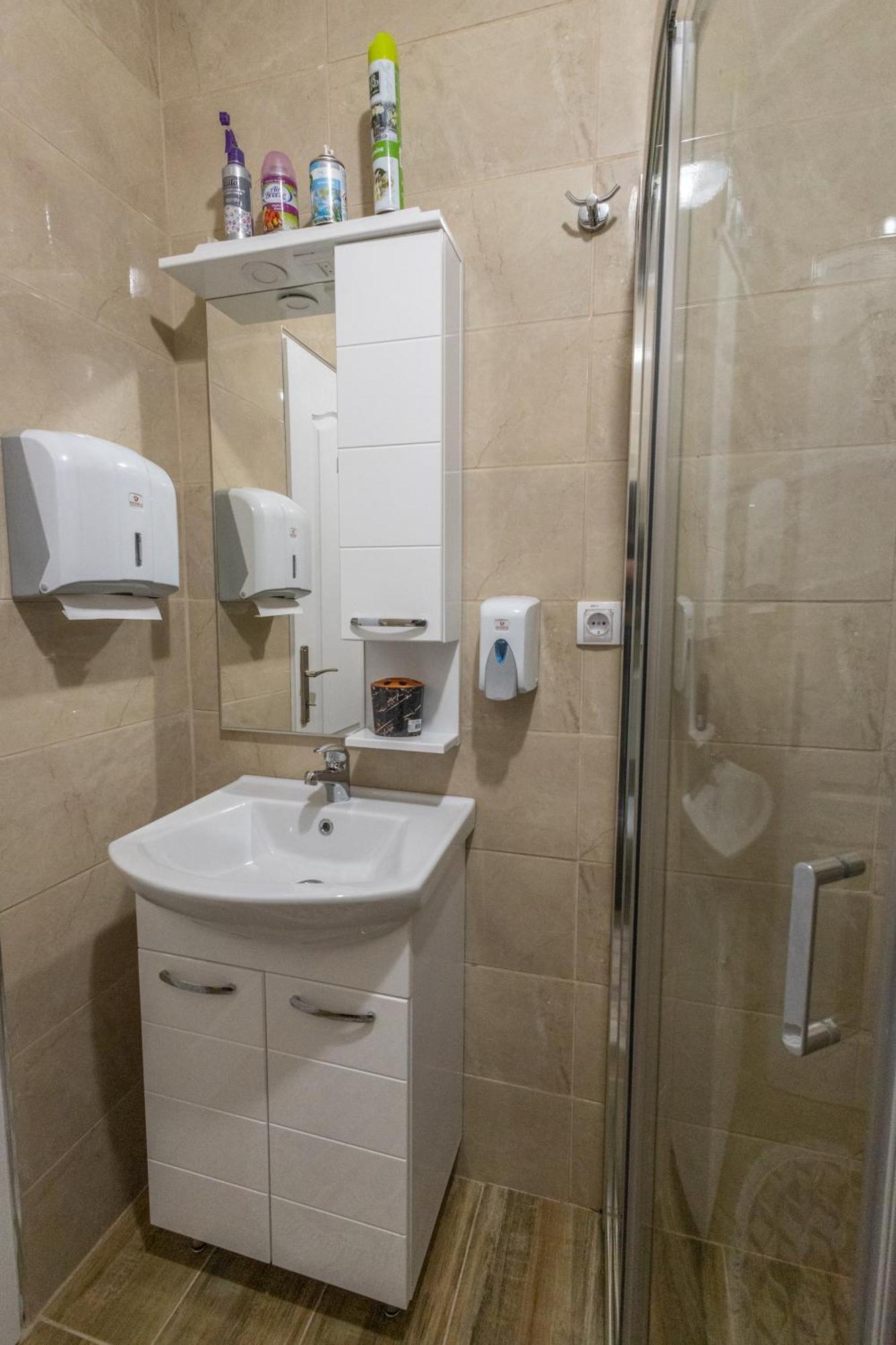 Apartmán Apartman Albijanic Sremska Kamenica Exteriér fotografie