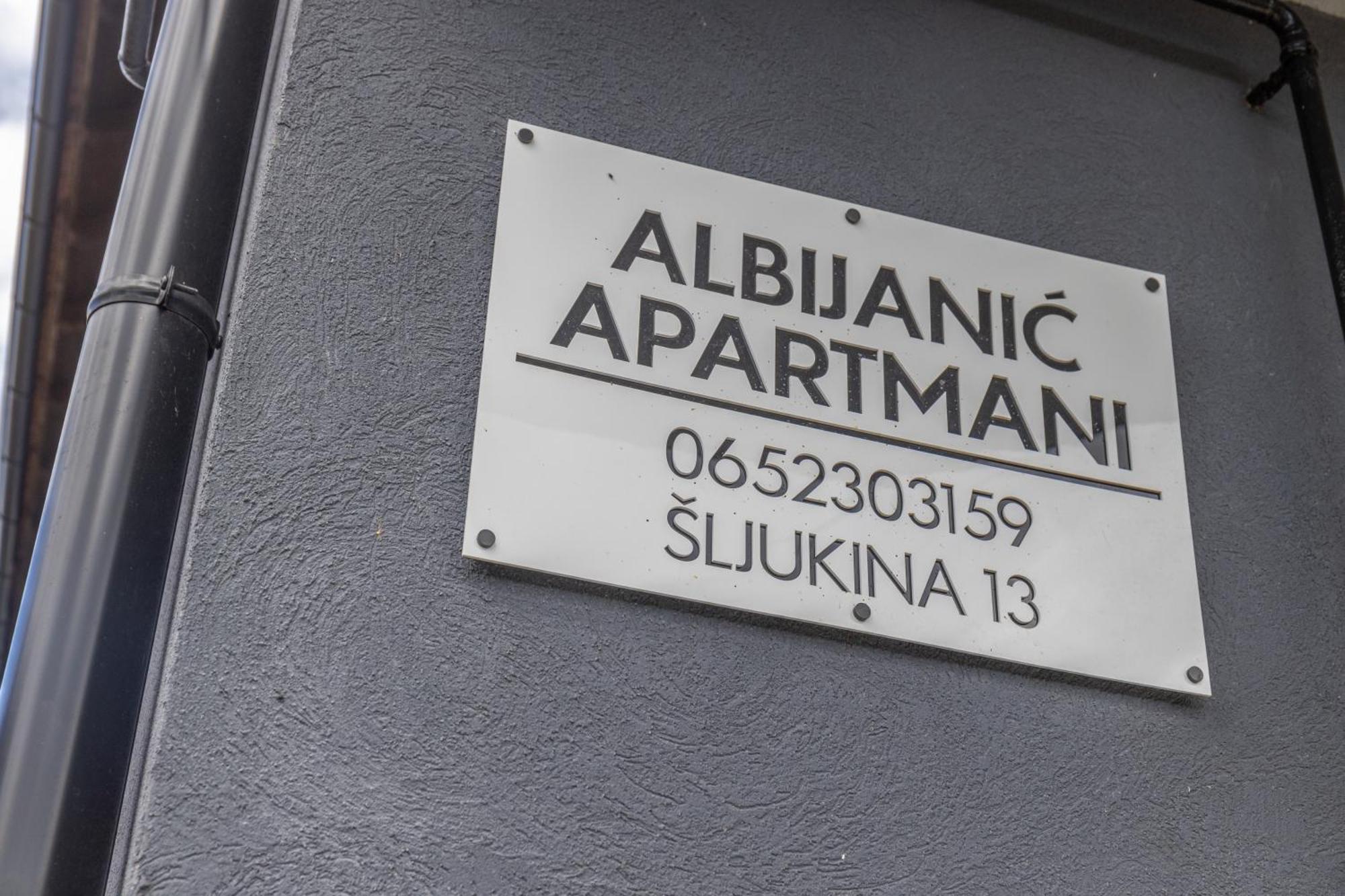 Apartmán Apartman Albijanic Sremska Kamenica Exteriér fotografie