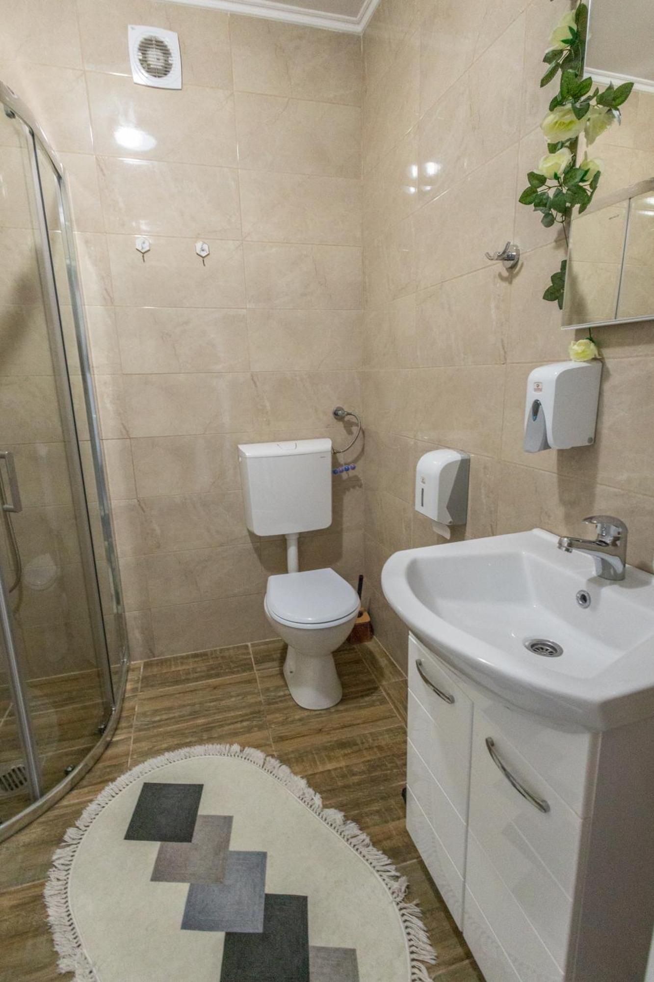 Apartmán Apartman Albijanic Sremska Kamenica Exteriér fotografie